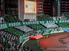  荷甲直播在线观看高清 